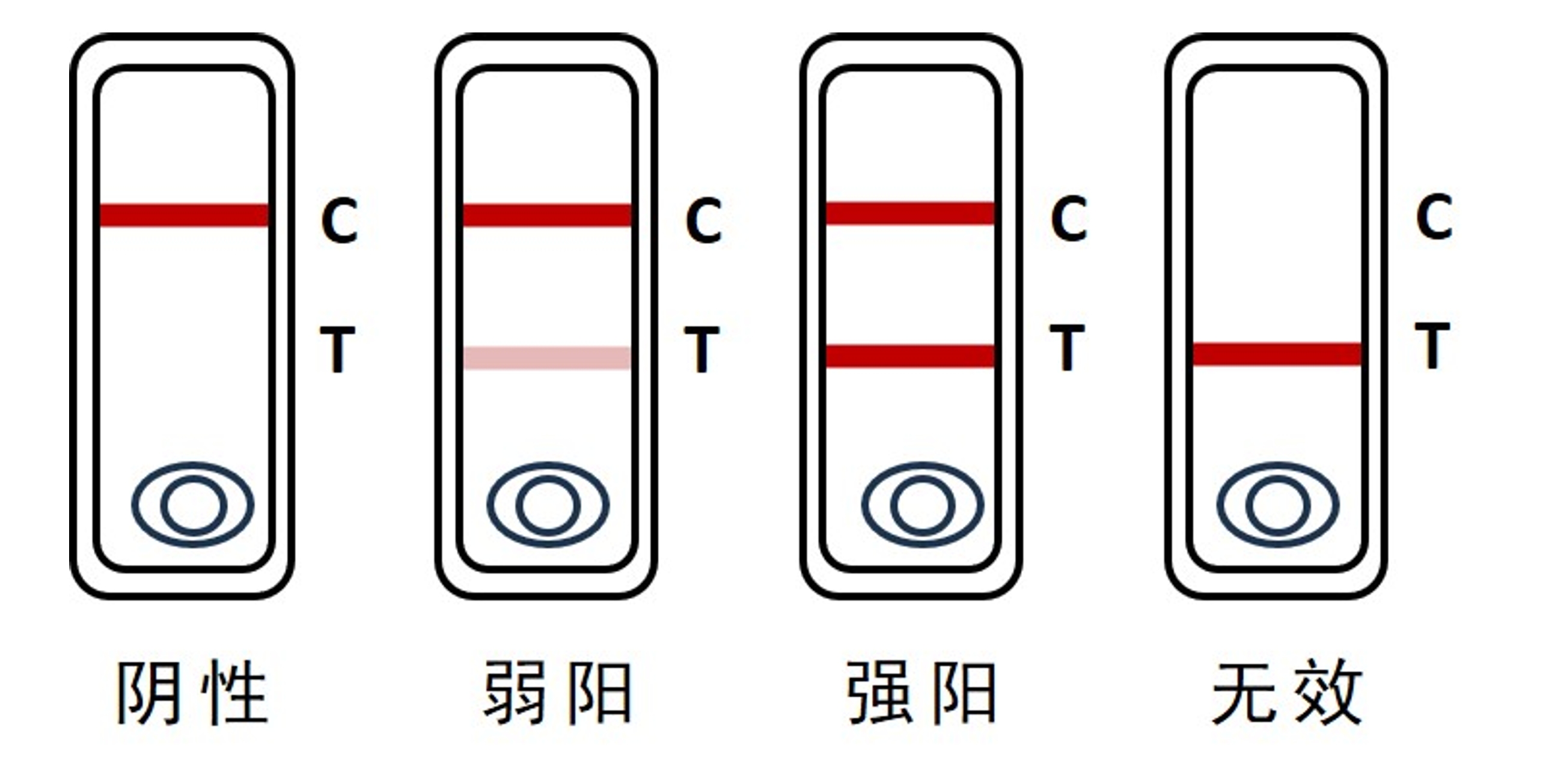 病害胶体金检测卡结果判读.png